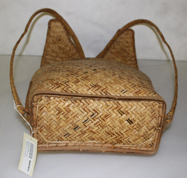 NMNH E431417 Bottom A