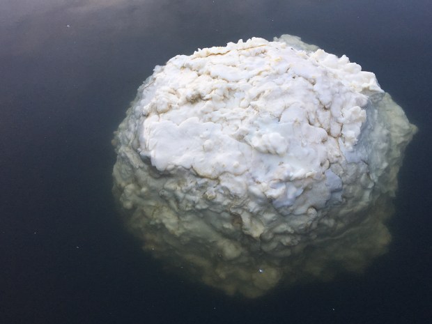 24079524087_22c0be5a28_o