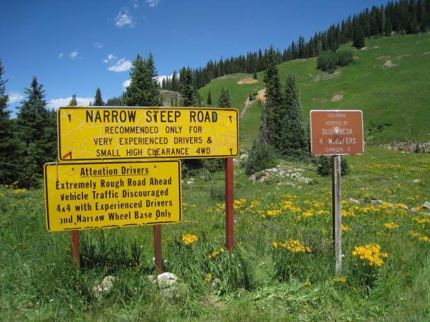 Signs and wildflowers